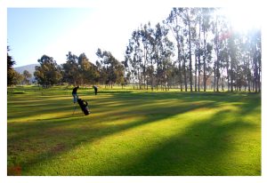 El golf renace tras la lluvia: récord de inscritos en el Club Pan de Azúcar